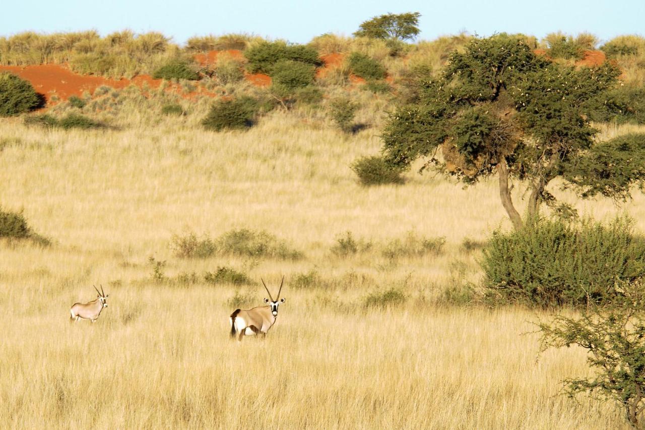 Gondwana Kalahari Anib Lodge Hardap Zewnętrze zdjęcie