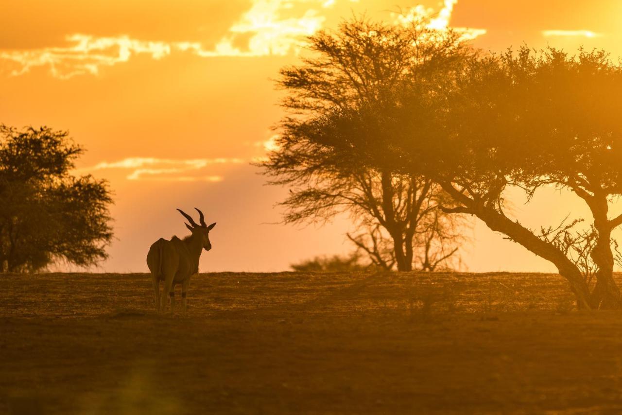Gondwana Kalahari Anib Lodge Hardap Zewnętrze zdjęcie